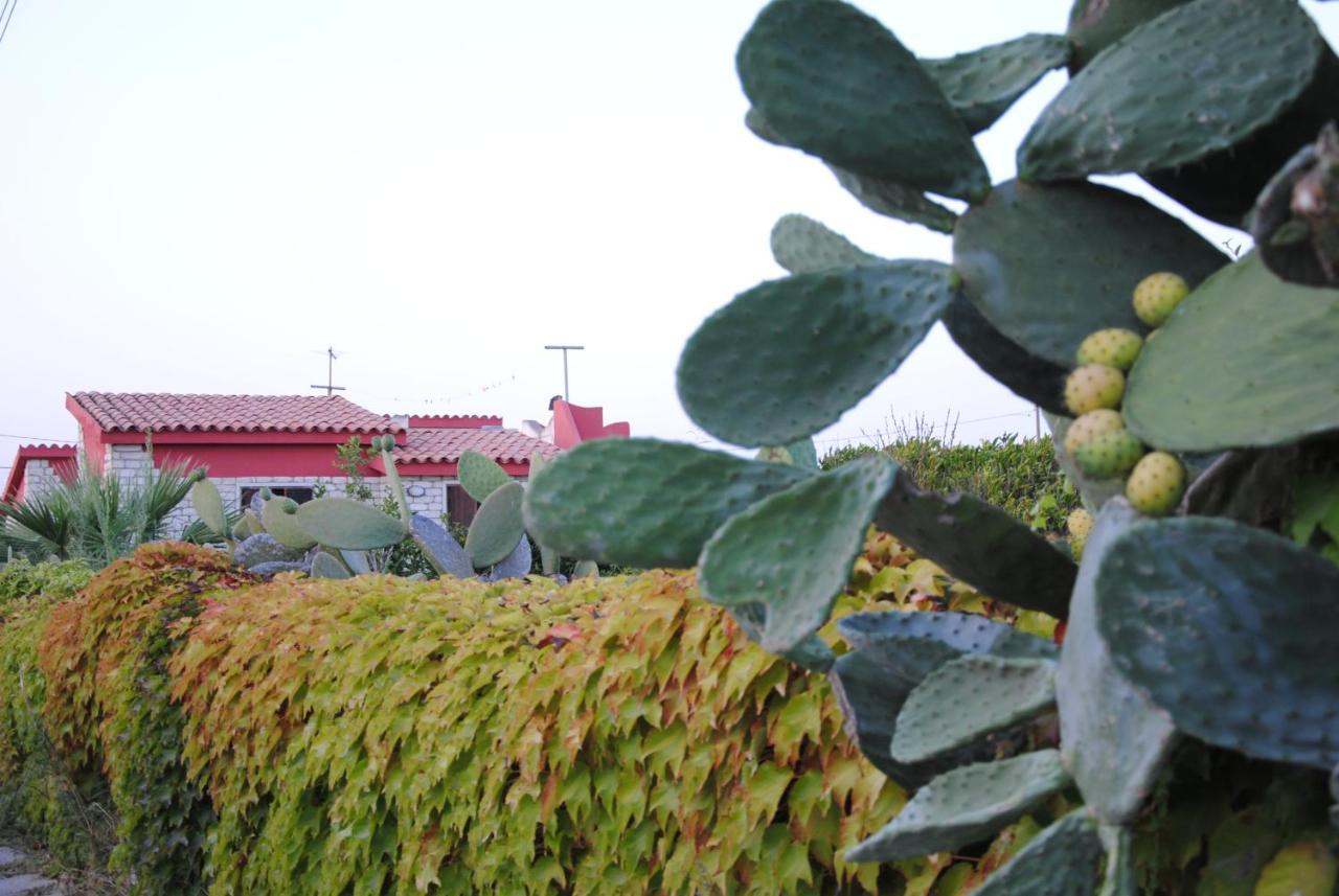 Casa Lavinia Villa Pachino Bagian luar foto