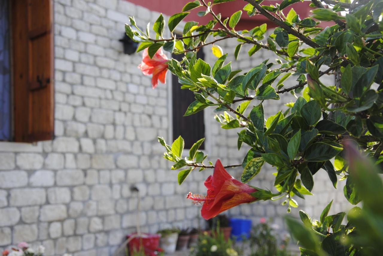 Casa Lavinia Villa Pachino Bagian luar foto