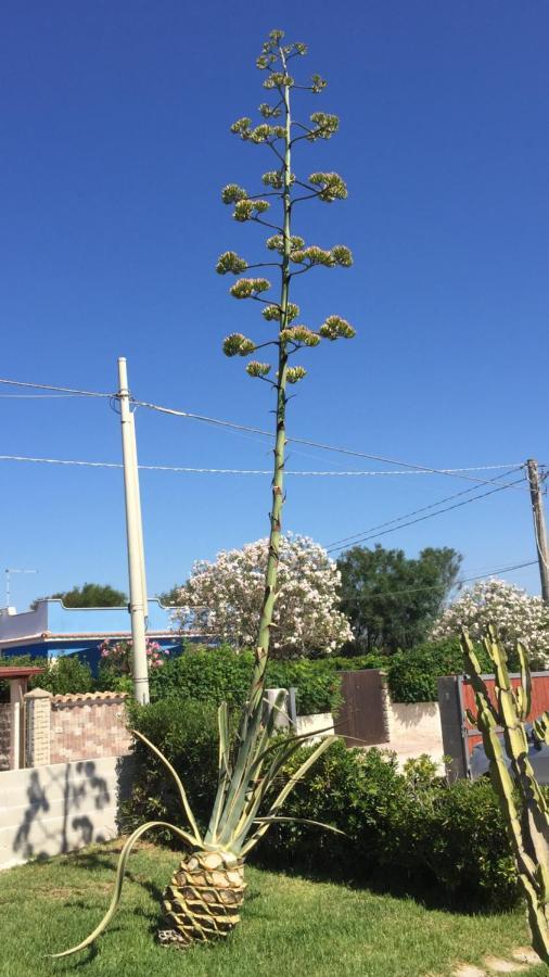 Casa Lavinia Villa Pachino Bagian luar foto